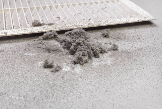 Best Commercial Air Duct Cleaning  in New Bern, NC